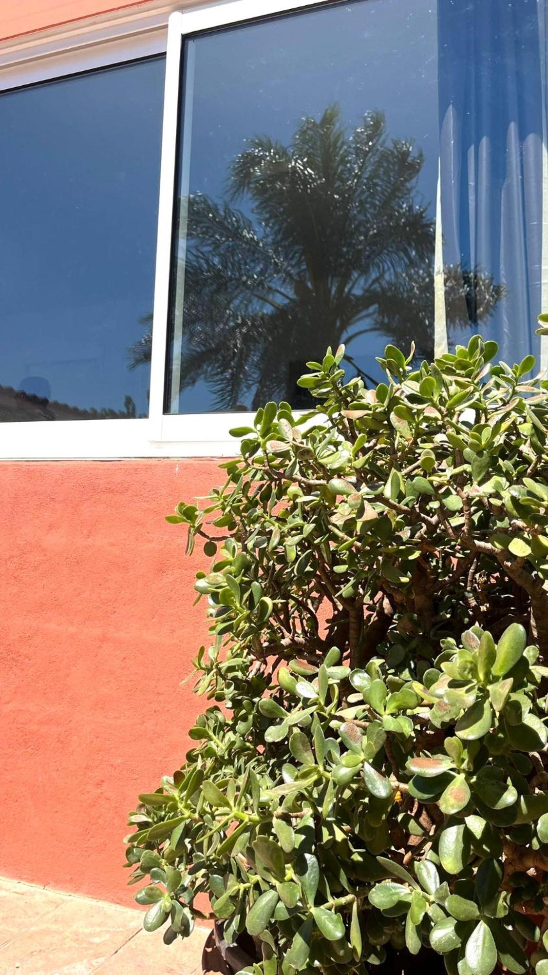 Apartamento Leyda En Marbella Eksteriør billede
