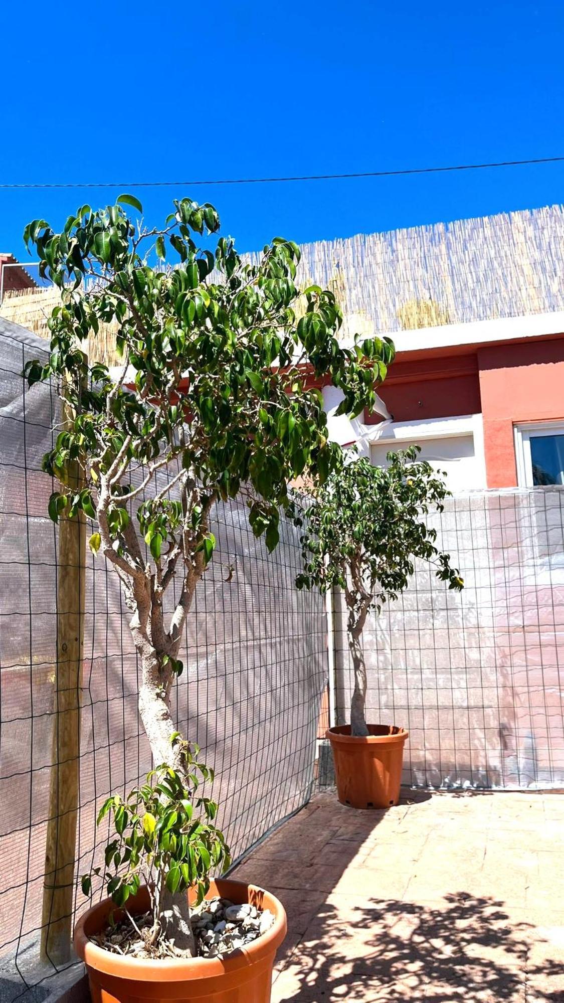 Apartamento Leyda En Marbella Eksteriør billede